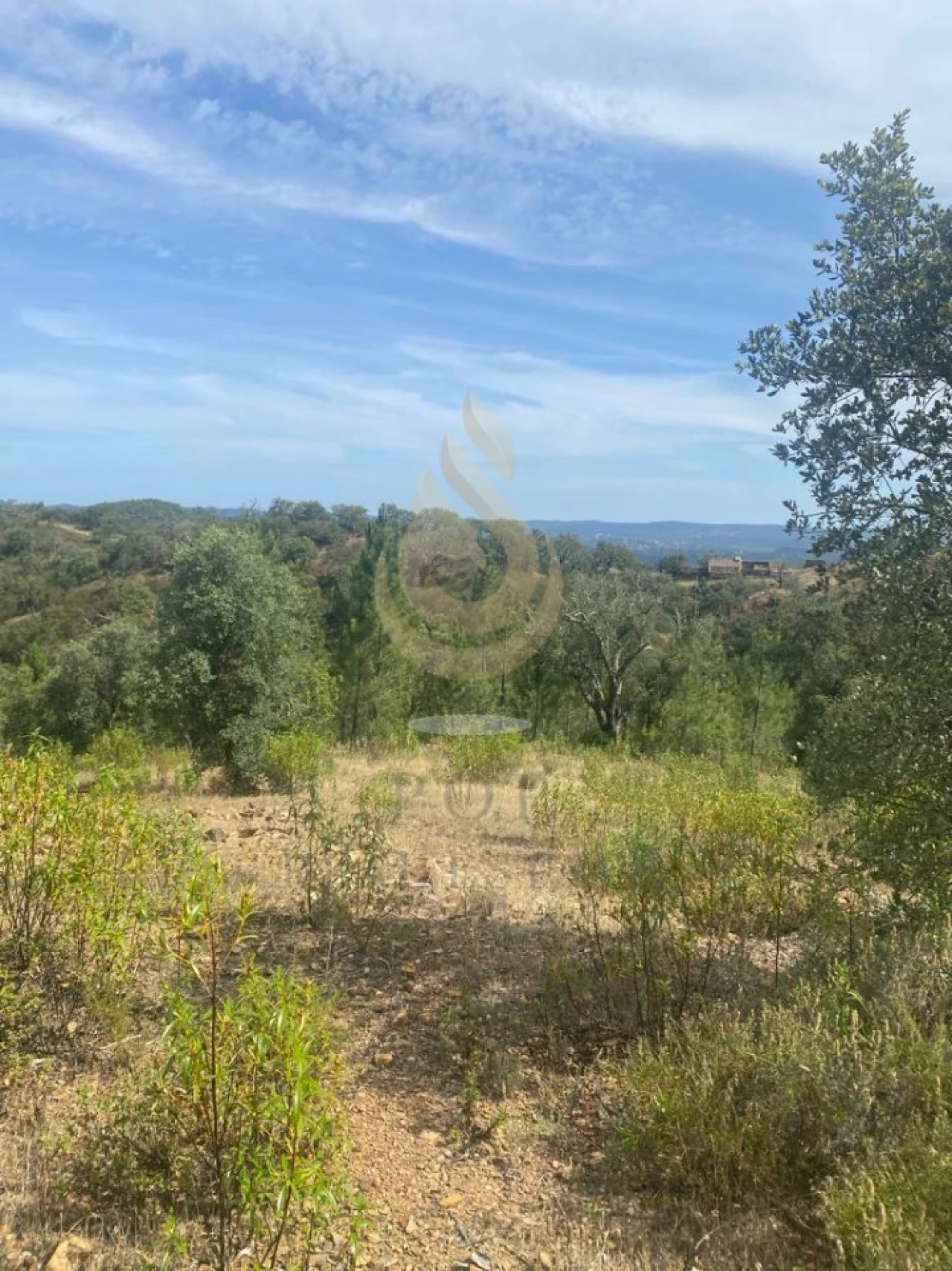 Terreno para Venda em Salir Foto 3