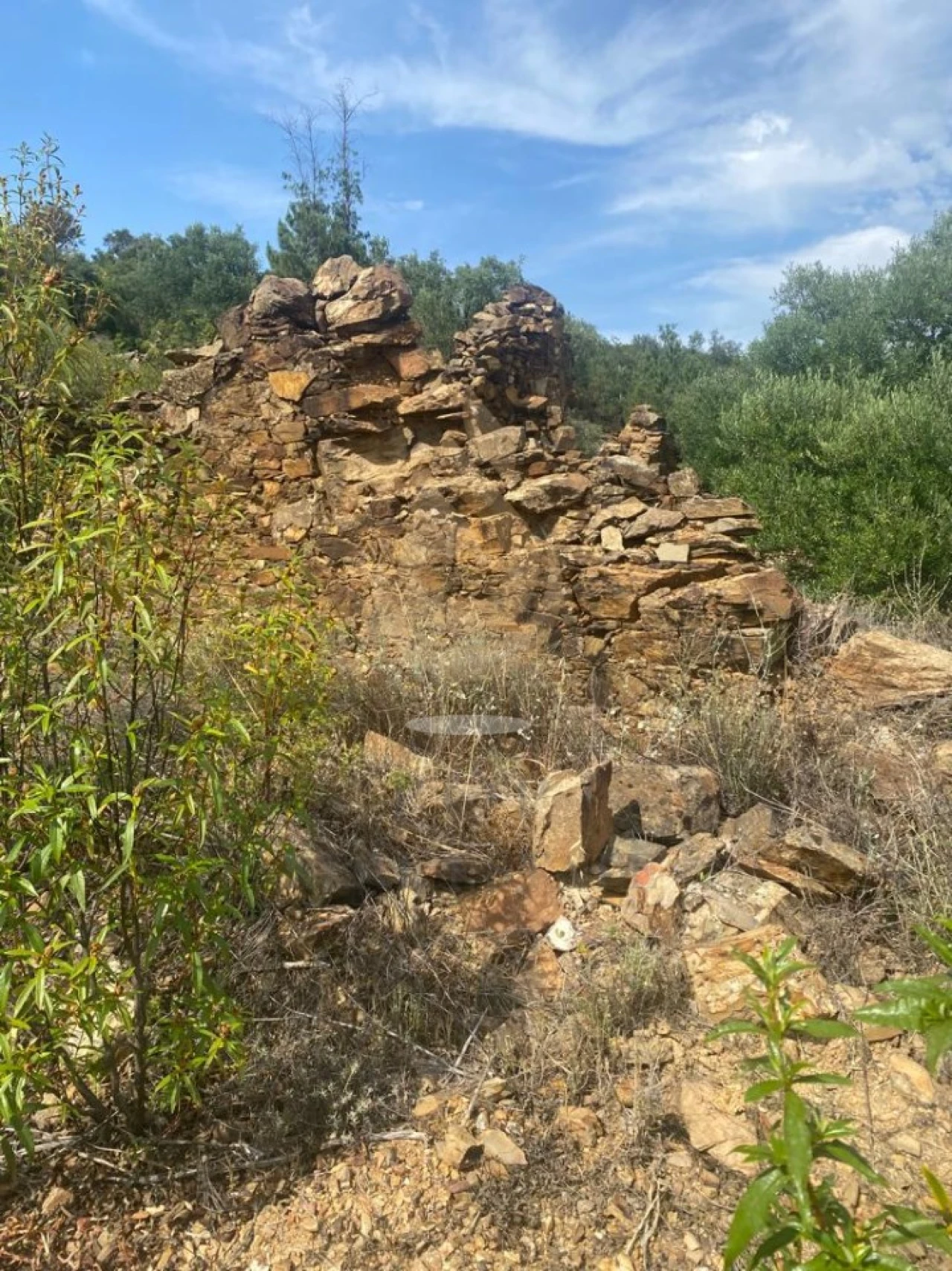 Terreno para Venda em Salir Foto 12