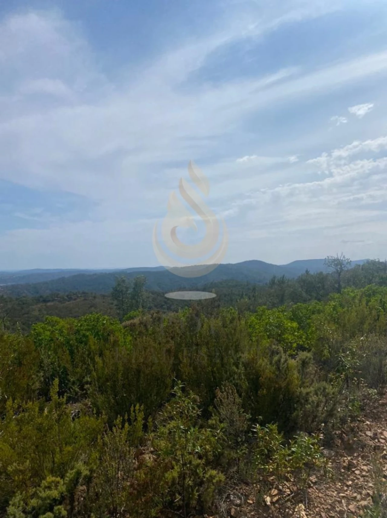 Terreno para Venda em Salir Foto 25