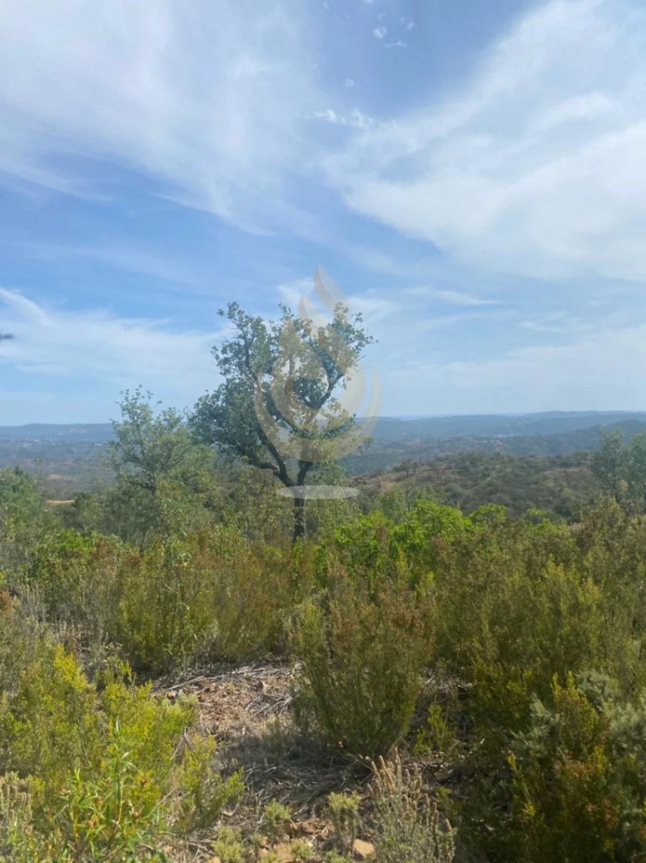 Terreno para Venda em Salir Foto 14