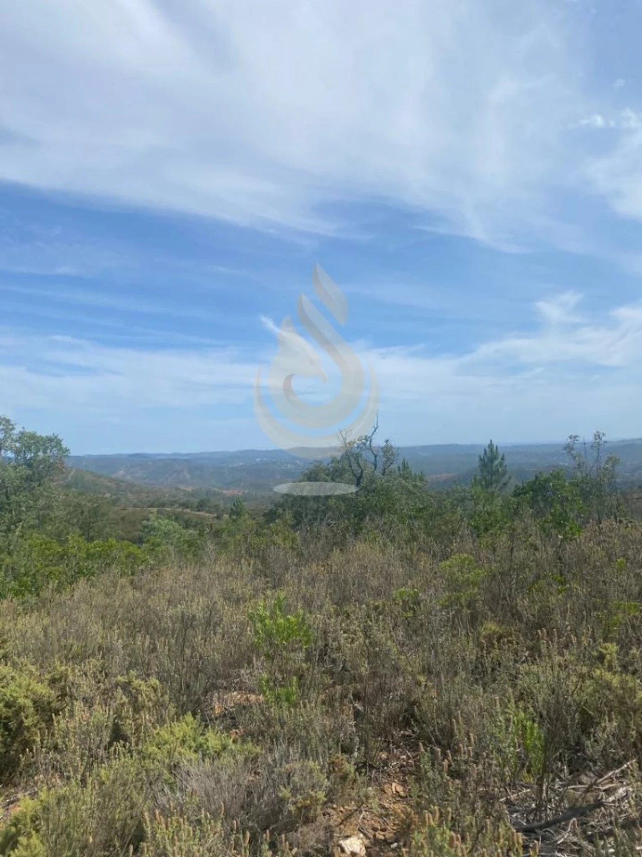 Terreno para Venda em Salir Foto 28