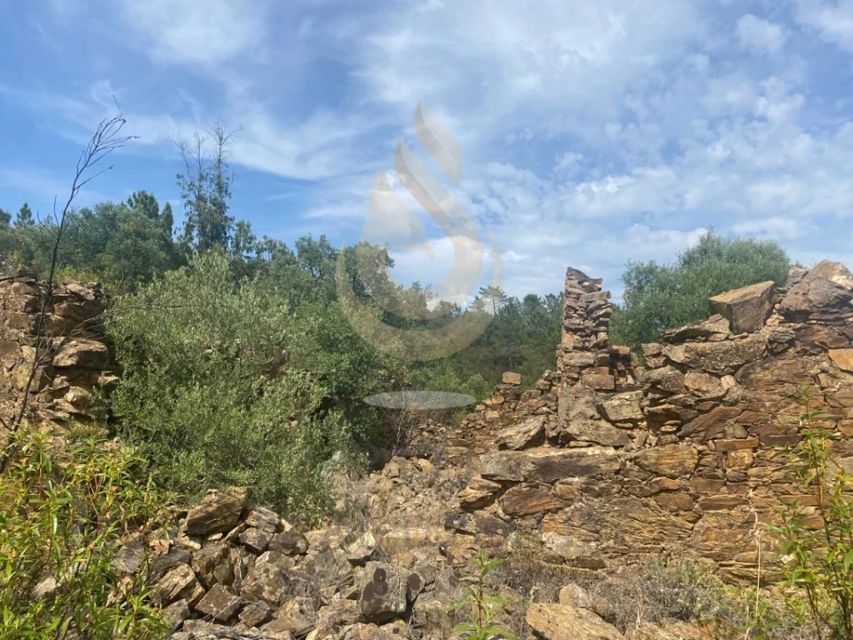 Terreno para Venda em Salir Foto 1