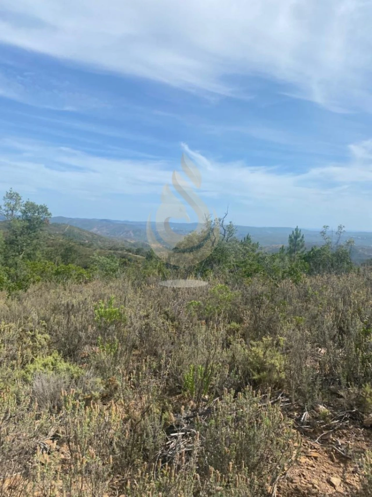 Terreno para Venda em Salir Foto 22