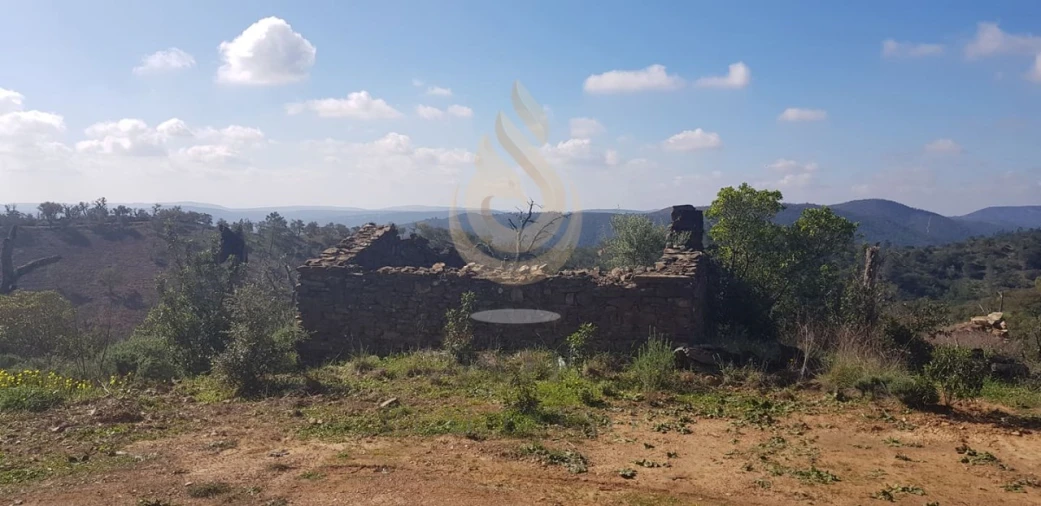 Terreno para Venda em Salir Foto 2