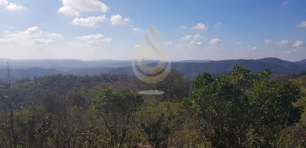 Terreno para Venda em Salir Foto 19