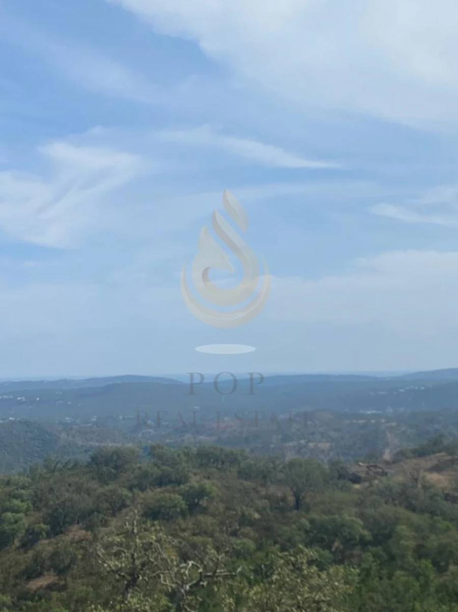 Terreno para Venda em Salir Foto 23