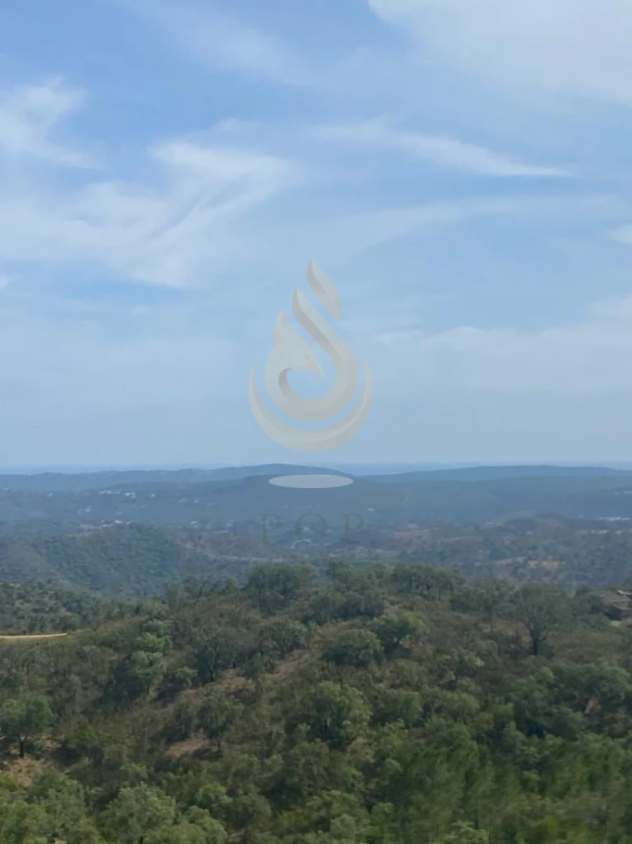 Terreno para Venda em Salir Foto 20