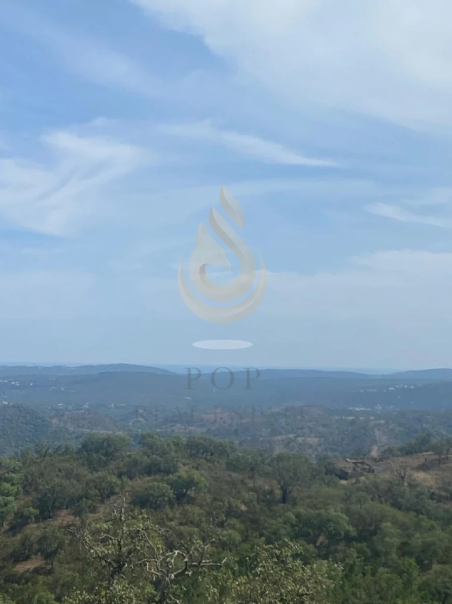 Terreno para Venda em Salir Foto 30