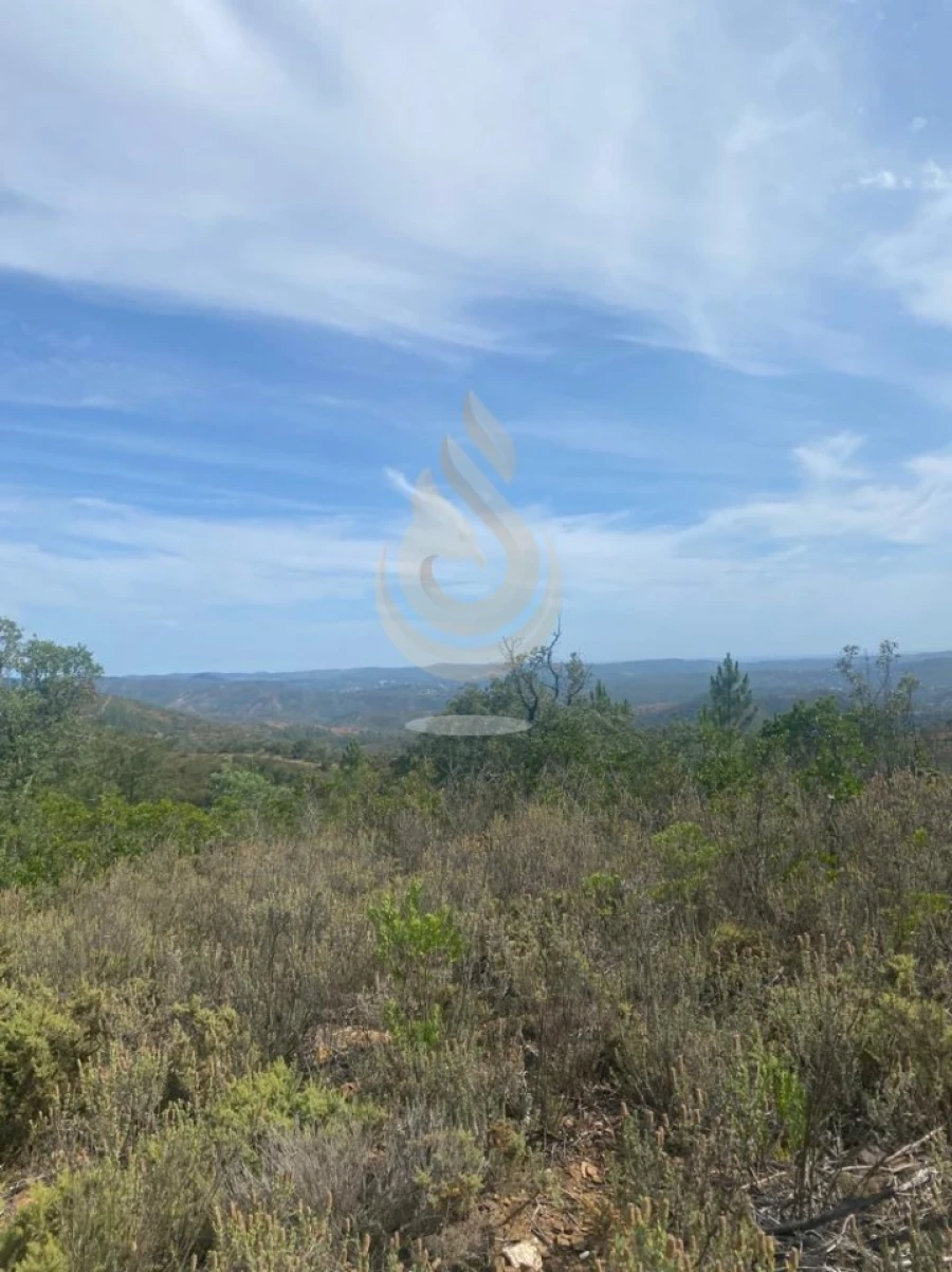 Terreno para Venda em Salir Foto 28