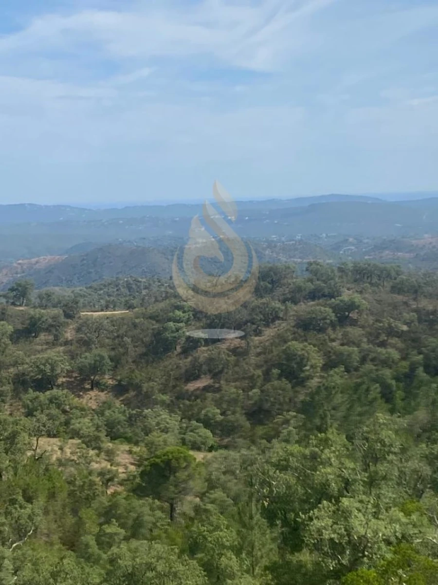 Terreno para Venda em Salir Foto 13