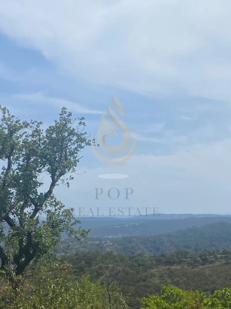 Terreno para Venda em Salir Foto 18