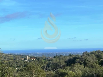Terreno para Venda em Conceição e Estoi
