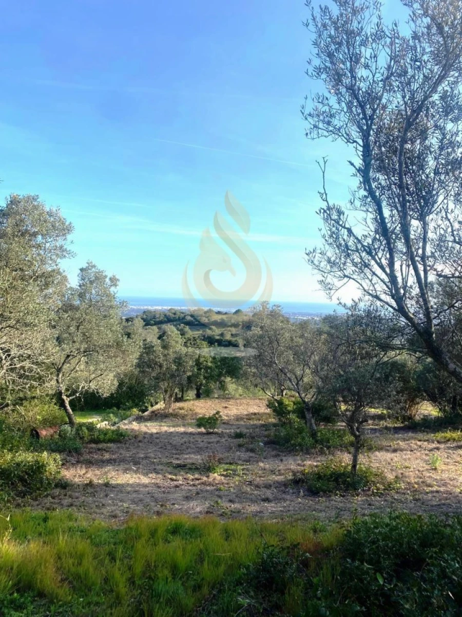 Terreno para Venda em Conceição e Estoi Foto 4