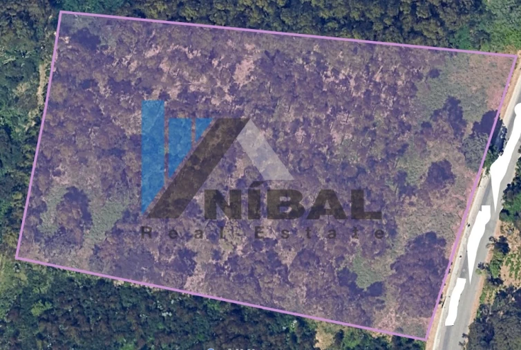 Terreno para Venda em Silvalde