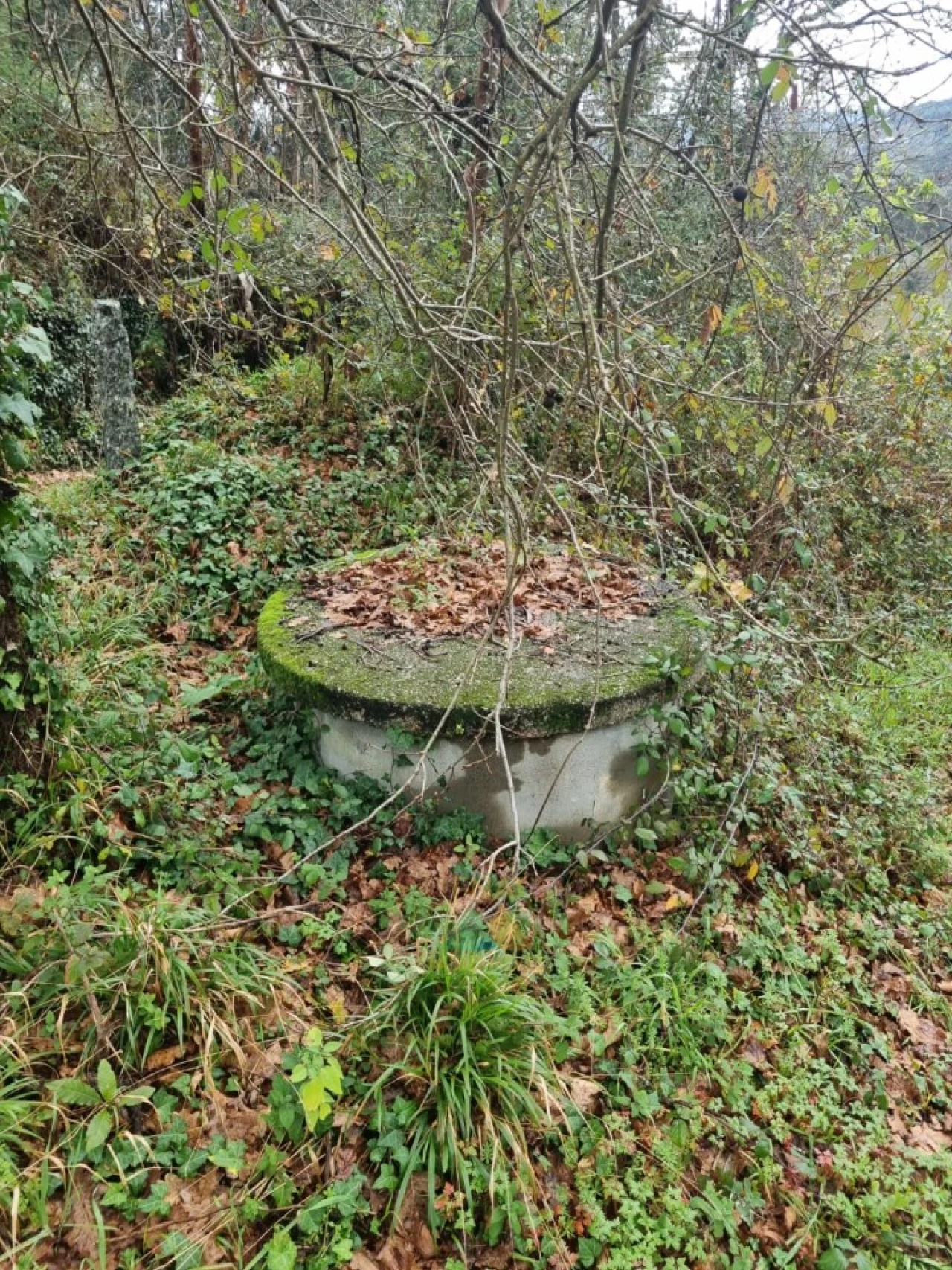 Terreno para Venda em Refoios do Lima Foto 3