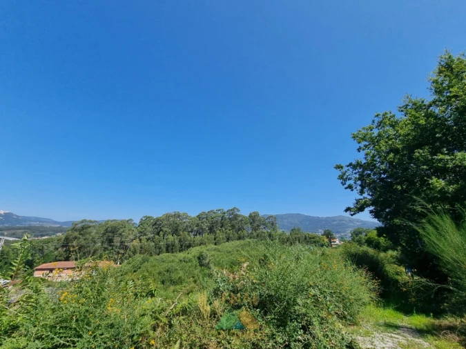 Terreno para Venda em Ribeira Foto 6