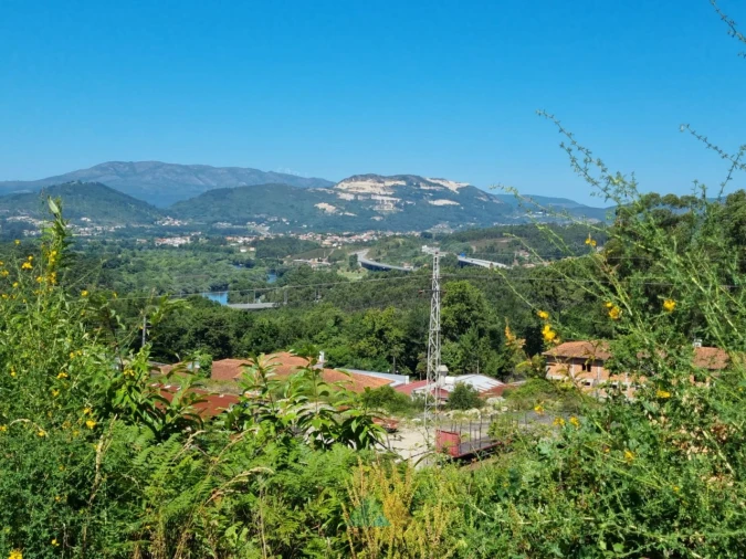 Terreno para Venda em Ribeira Foto 4