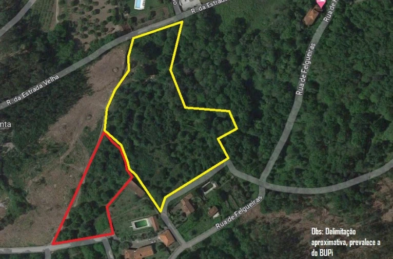 Terreno para Venda em Ribeira Planta 1