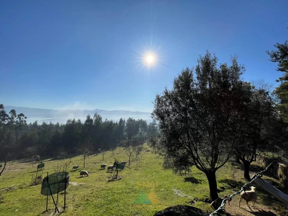 Terreno para Venda em Padreiro (Salvador e Santa Cristina) Foto 5