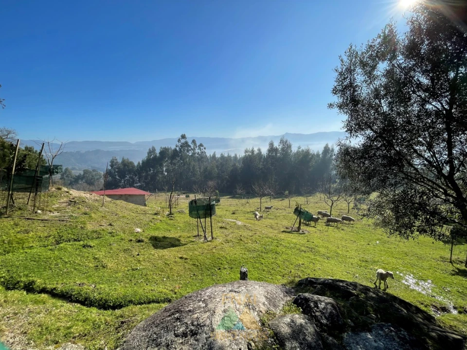 Terreno para Venda em Padreiro (Salvador e Santa Cristina) Foto 6