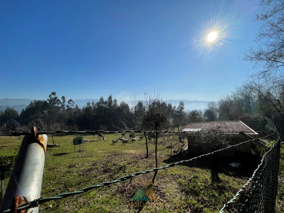 Terreno para Venda em Padreiro (Salvador e Santa Cristina) Foto 8