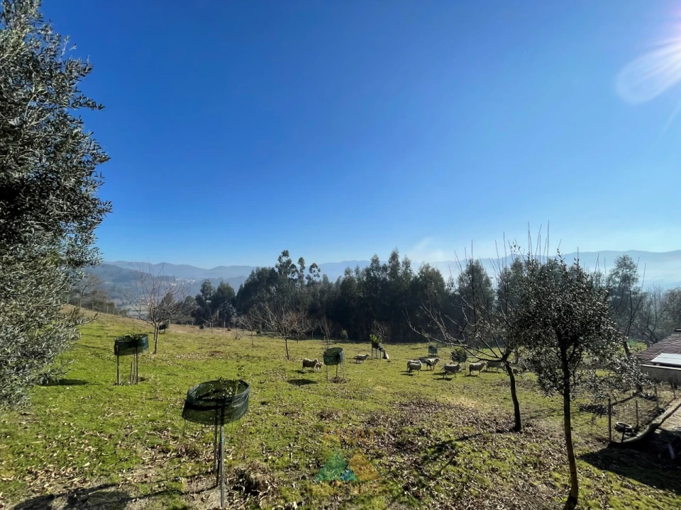 Terreno para Venda em Padreiro (Salvador e Santa Cristina) Foto 9