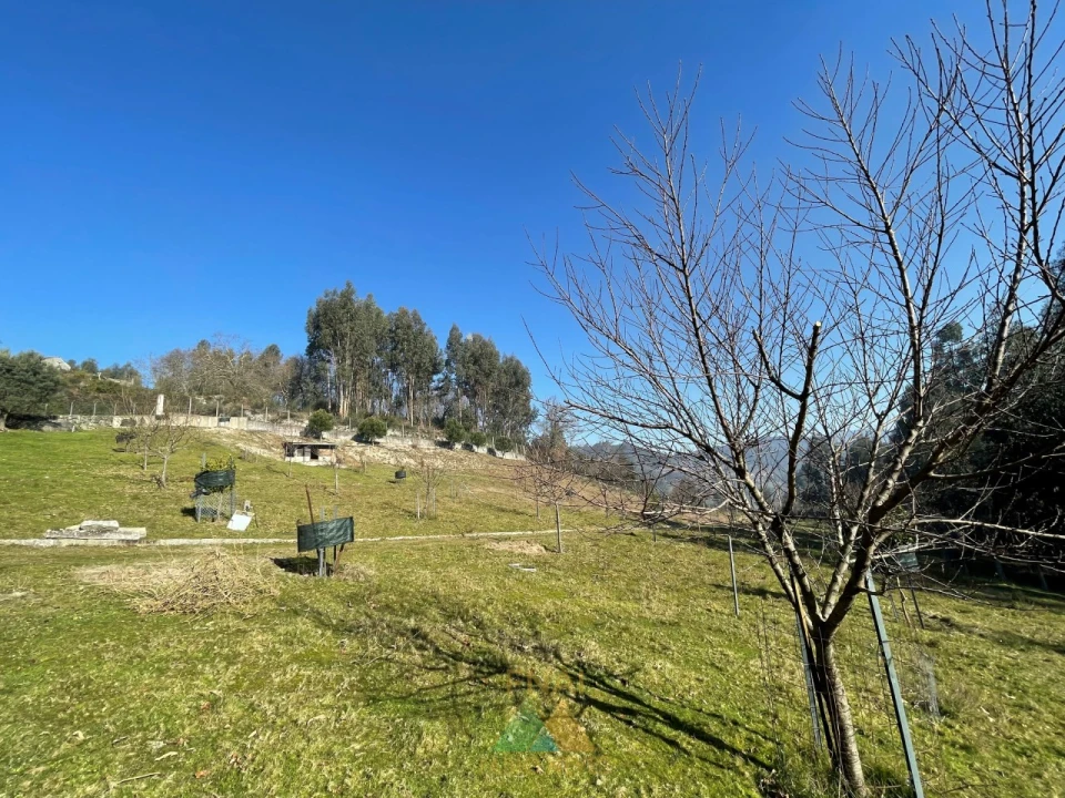 Terreno para Venda em Padreiro (Salvador e Santa Cristina) Foto 15