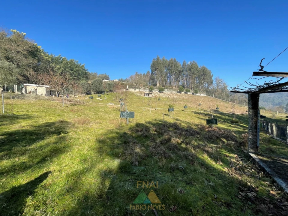 Terreno para Venda em Padreiro (Salvador e Santa Cristina) Foto 19