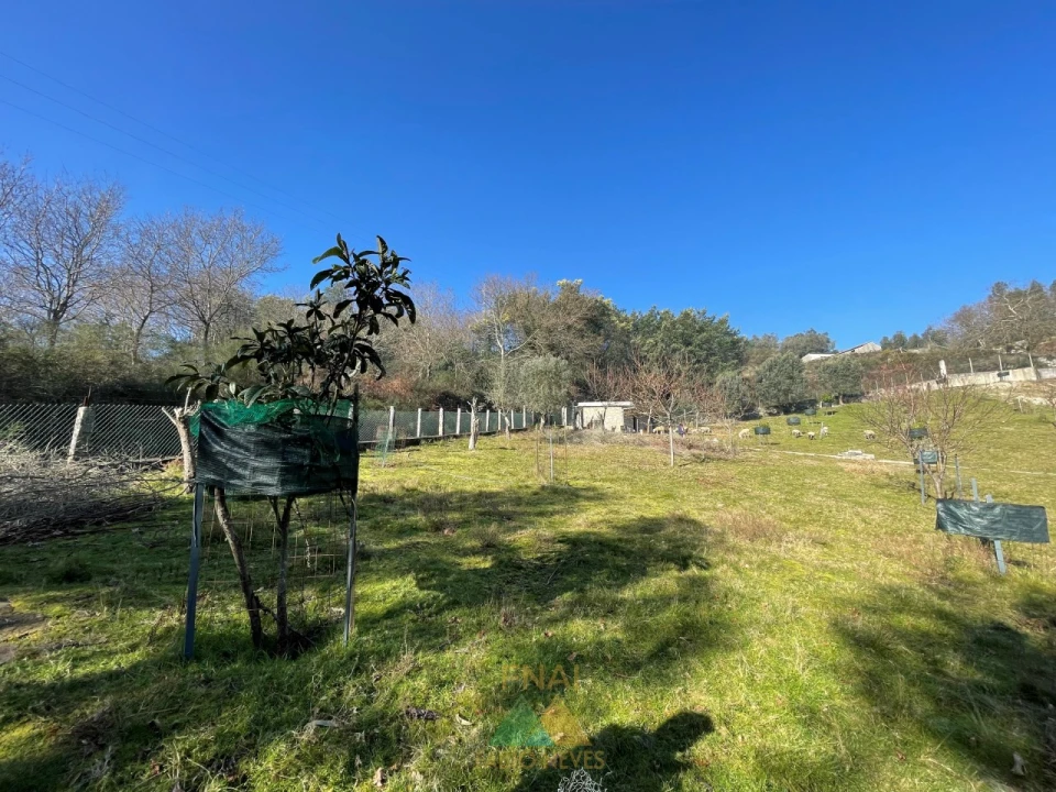 Terreno para Venda em Padreiro (Salvador e Santa Cristina) Foto 20