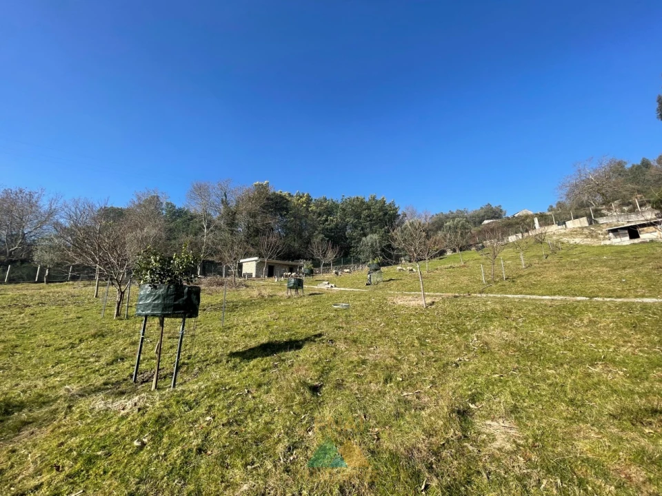 Terreno para Venda em Padreiro (Salvador e Santa Cristina) Foto 22