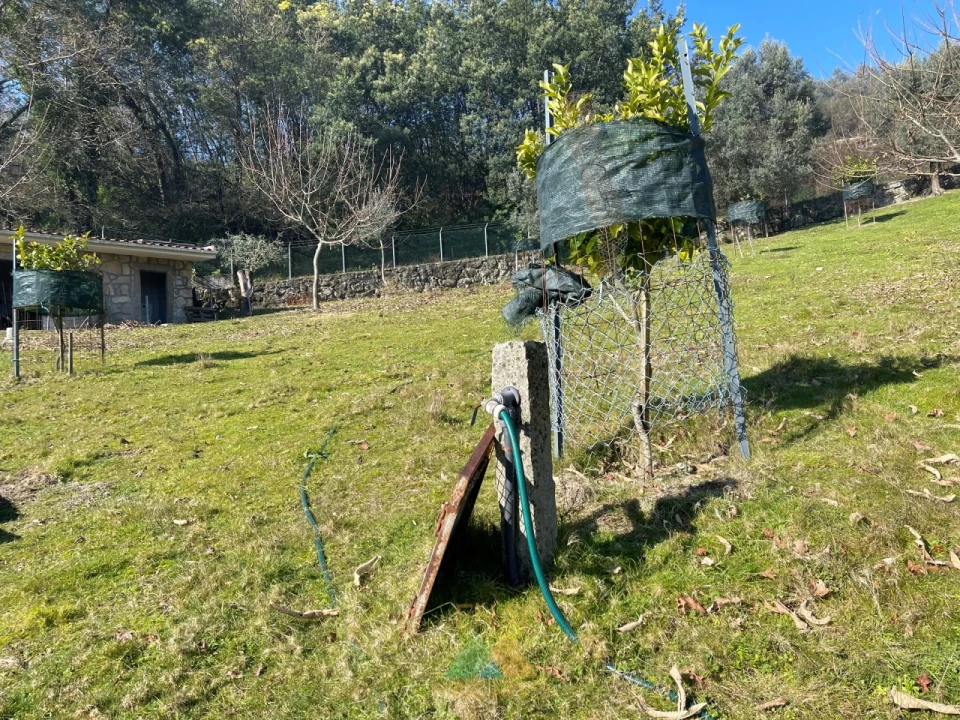 Terreno para Venda em Padreiro (Salvador e Santa Cristina) Foto 28