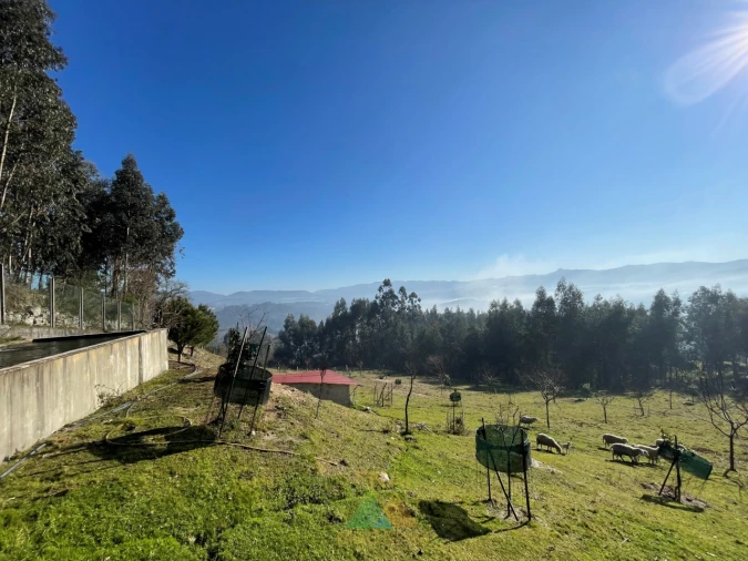 Terreno para Venda em Padreiro (Salvador e Santa Cristina) Foto 4