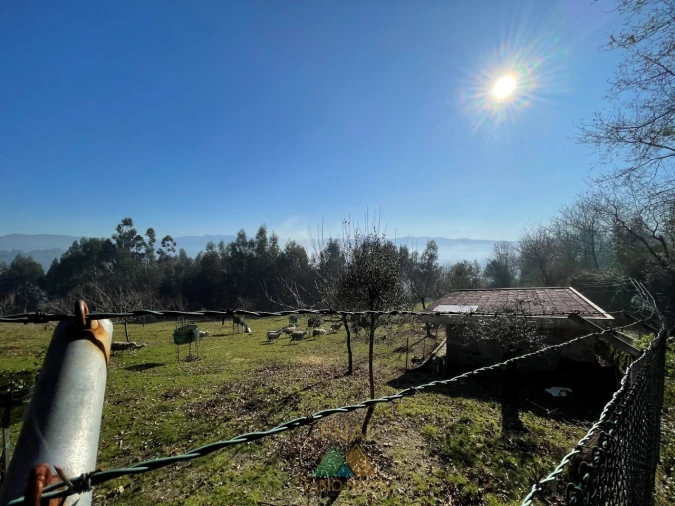 Terreno para Venda em Padreiro (Salvador e Santa Cristina) Foto 8