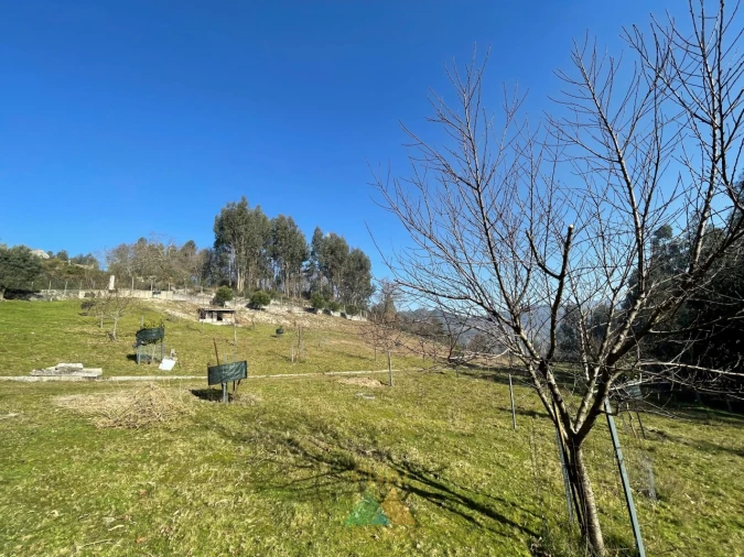 Terreno para Venda em Padreiro (Salvador e Santa Cristina) Foto 15