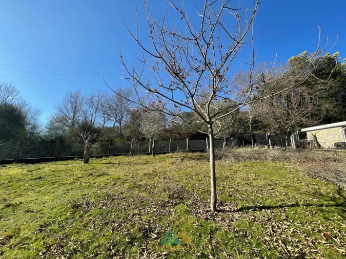 Terreno para Venda em Padreiro (Salvador e Santa Cristina) Foto 16