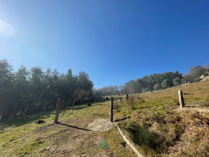 Terreno para Venda em Padreiro (Salvador e Santa Cristina) Foto 23