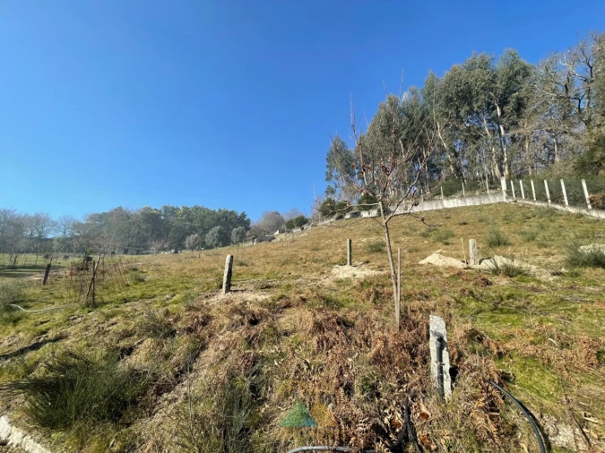 Terreno para Venda em Padreiro (Salvador e Santa Cristina) Foto 24