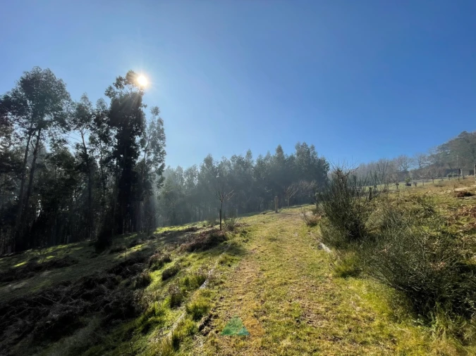 Terreno para Venda em Padreiro (Salvador e Santa Cristina) Foto 26