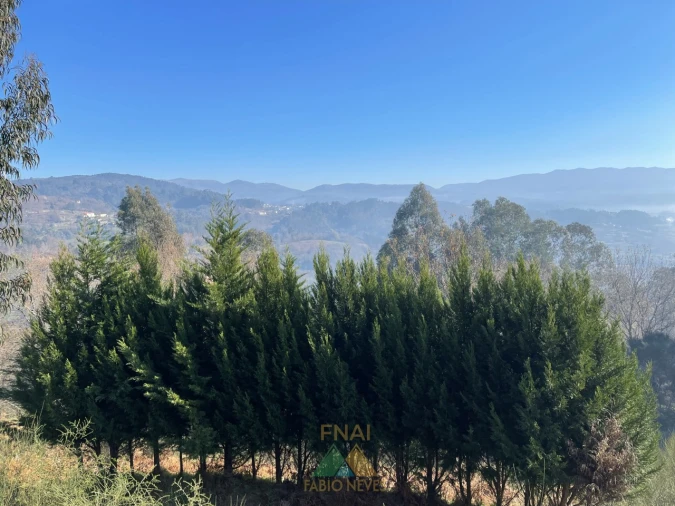 Terreno para Venda em Padreiro (Salvador e Santa Cristina) Foto 27