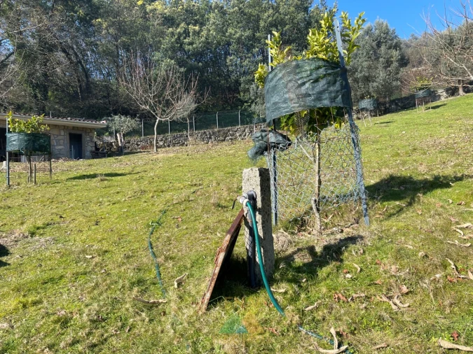 Terreno para Venda em Padreiro (Salvador e Santa Cristina) Foto 28