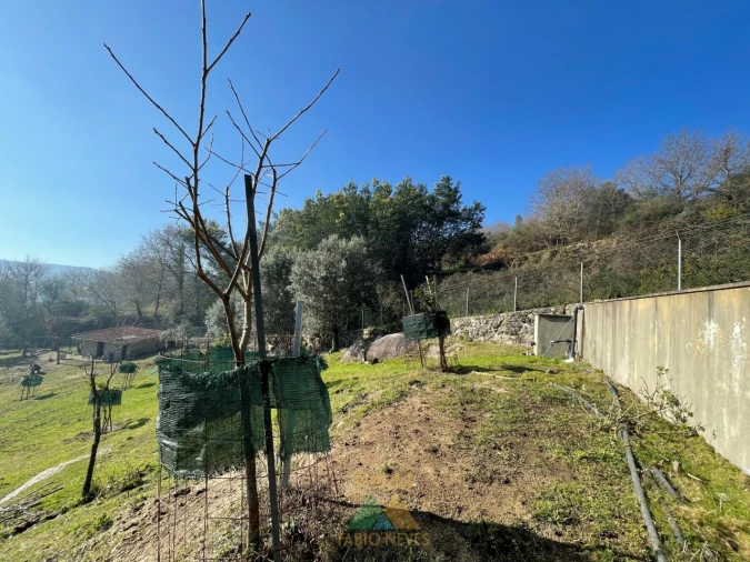 Terreno para Venda em Padreiro (Salvador e Santa Cristina) Foto 32