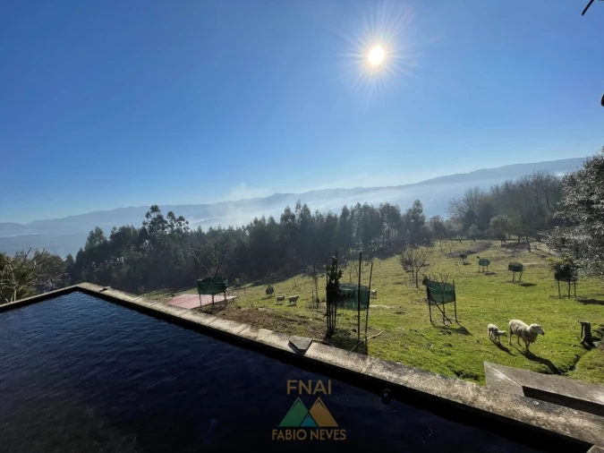 Terreno para Venda em Padreiro (Salvador e Santa Cristina) Foto 1