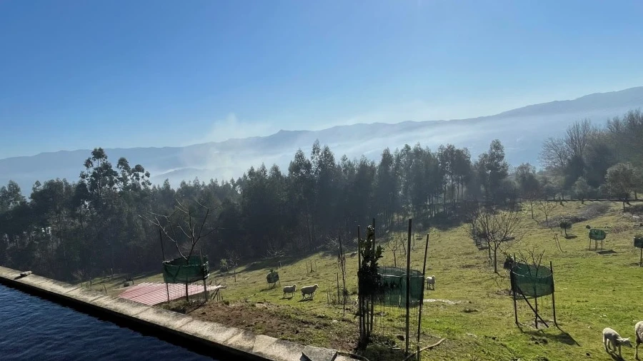 Terreno para Venda em Padreiro (Salvador e Santa Cristina)