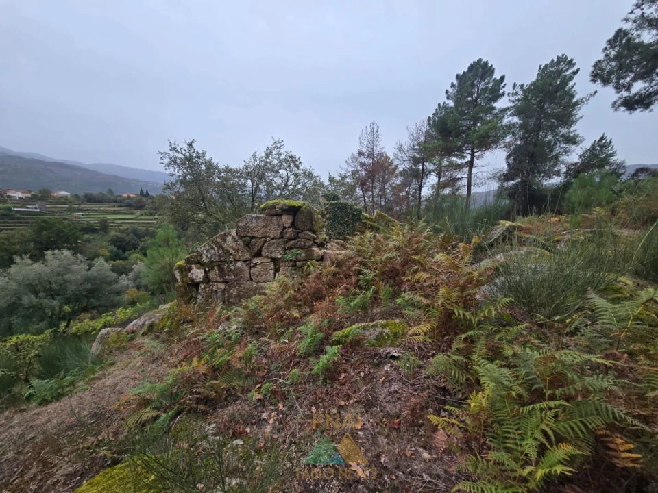 Terreno para Venda em Soajo Foto 7