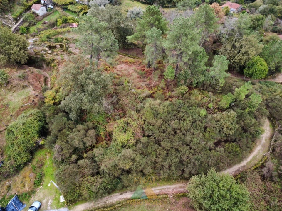 Terreno para Venda em Soajo Foto 8