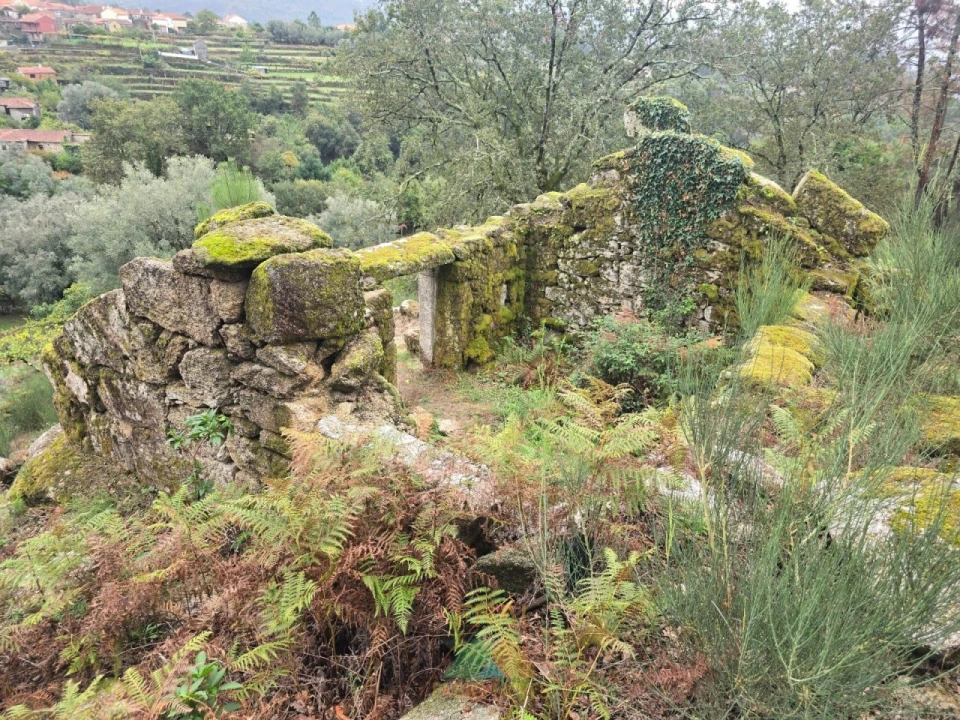 Terreno para Venda em Soajo Foto 9