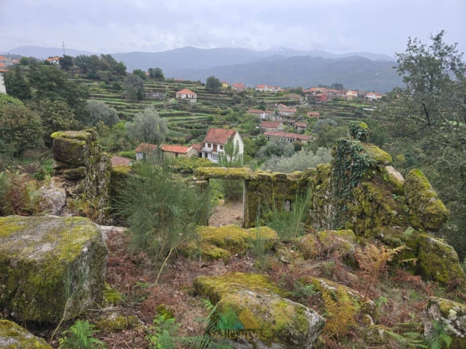 Terreno para Venda em Soajo Foto 10
