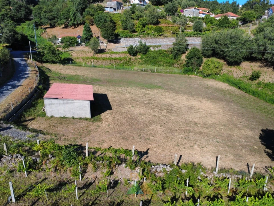 Terreno para Venda em Souto e Tabaçô Foto 7