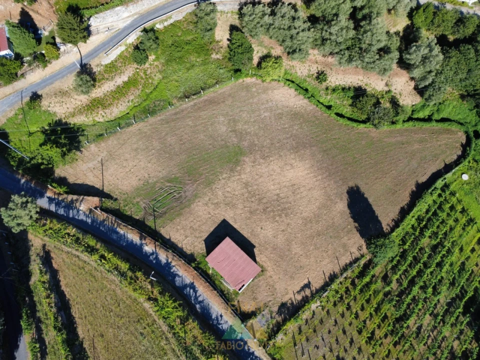 Terreno para Venda em Souto e Tabaçô Foto 9