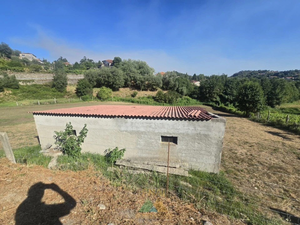 Terreno para Venda em Souto e Tabaçô Foto 12